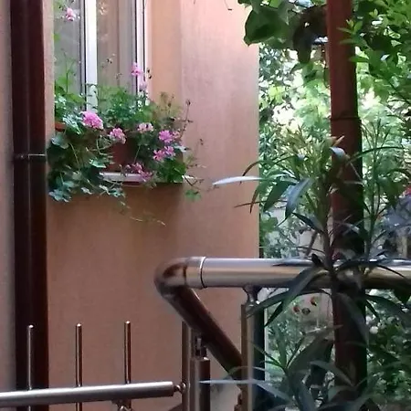 ゲストハウス Nedelchevi プリモルスコ