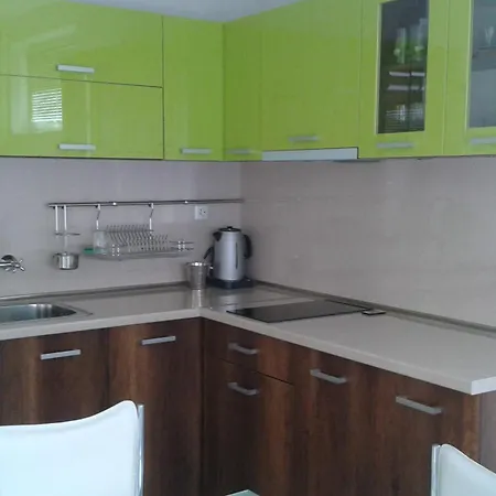 Nedelchevi 3* プリモルスコ